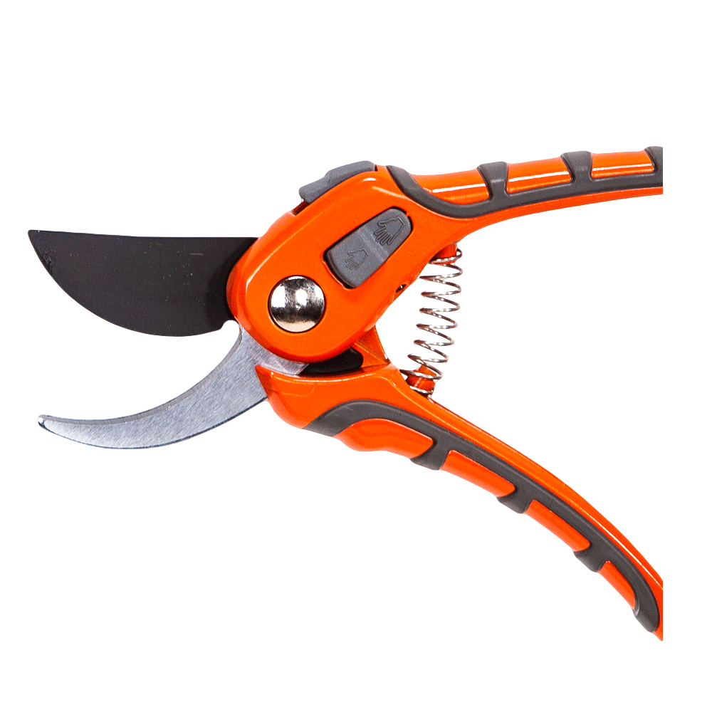 Secateurs scissors 21,5cm - RN4101